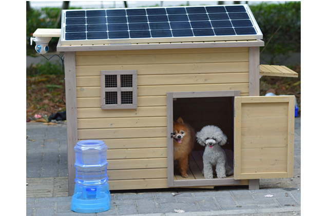 Energía renovable para casetas para perro