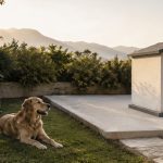 Casetas de obra vs prefabricadas: guía para elegir la mejor para tu perro