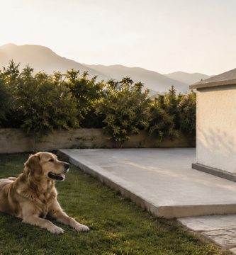 Casetas de obra vs prefabricadas: guía para elegir la mejor para tu perro Casetas de obra vs prefabricadas: guía para elegir la mejor para tu perro