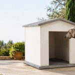 Cómo elegir el tamaño de una caseta de obra para tu perro: mediana, grande o extragrande