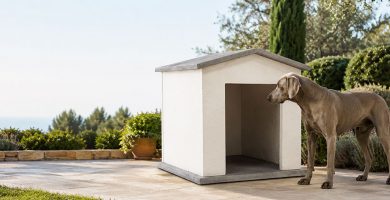 Cómo elegir el tamaño de una caseta de obra para tu perro: mediana, grande o extragrande
